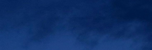 ‌فردیس🌱‌'s header picture