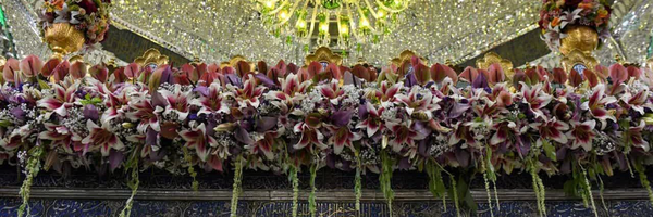 ‌سیما محمدی‌'s header picture