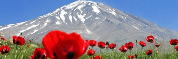 ‌مهدی‌'s header picture