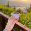 Profile picture of ‌حمید محمدی‌
