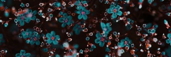 ‌متی'‌'s header picture