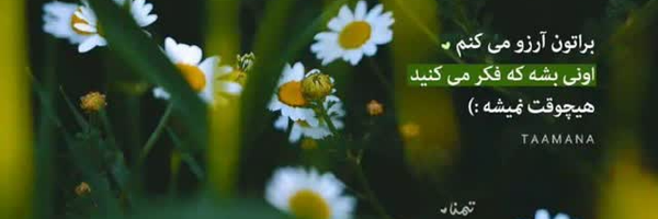 ‌محمدصادق شادمانی‌'s header picture