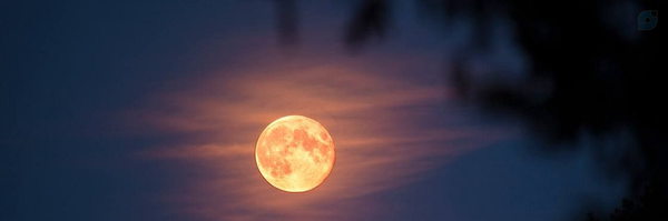 ‌علی بی سرا‌'s header picture