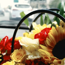 Profile picture of ‌"Iranam‌