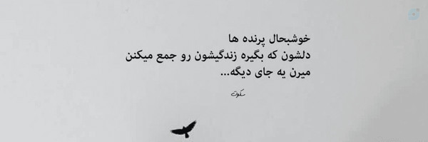‌دختر بابا‌'s header picture