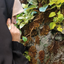 Profile picture of ‌roya f‌