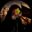 Profile picture of ‌رئوفـ☫ـة‌