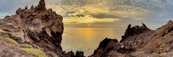 ‌Mohadeseh‌'s header picture