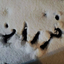 Profile picture of ‌فَرزآنه.. 🌱‌