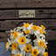 Profile picture of ‌پـ بـ‌