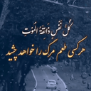 Profile picture of ‌🏴تنـهـا³¹³🇮🇷‌