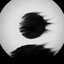Profile picture of ‌Weeknd‌