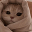 Profile picture of ‌گُوربآه🤍🐈‌