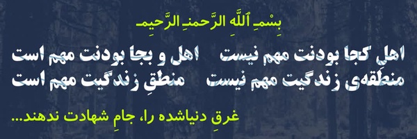 ‌رضا عباسی(سربازولایت)‌'s header picture