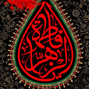 Profile picture of ‌Masumeh Ahmady shamloo‌