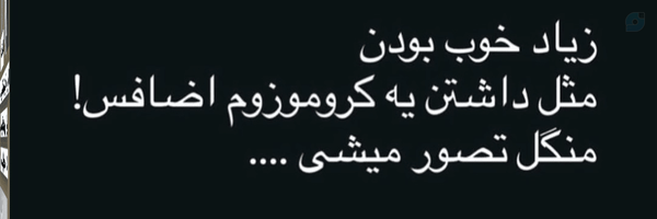 ‌Soraya‌'s header picture