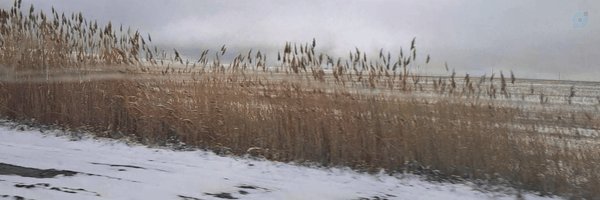 ‌حدو کلوایی‌'s header picture