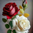 Profile picture of ‌Mehrymah Gh‌