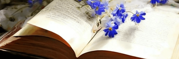 ‌Reihaneh‌'s header picture