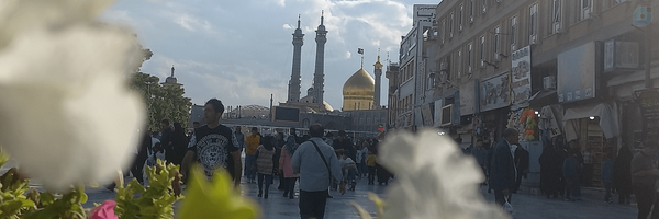 ‌علی جمشیدی‌'s header picture