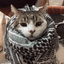 Profile picture of ‌Zahra ‌‌