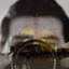 Profile picture of ‌Mr Unique‌