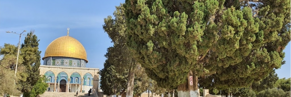 ‌مائده زمینی‌'s header picture
