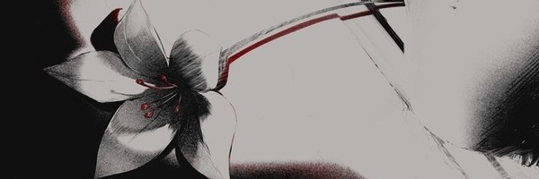 ‌Ali2085y‌'s header picture