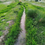 Profile picture of ‌Arma‌