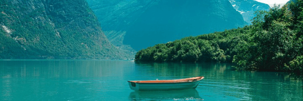 ‌سامی_جِی‌'s header picture