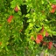 Profile picture of ‌عبدالزهراء‌
