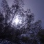Profile picture of ‌نادر عظیمی‌