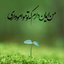 Profile picture of ‌mahdi .‌