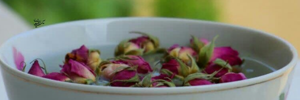 ‌امنه واحدی‌'s header picture