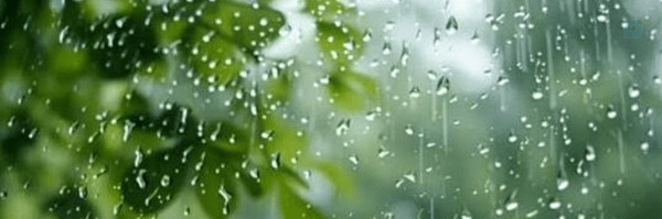 ‌بوی بارون‌'s header picture