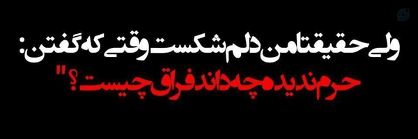 ‌sh noore‌'s header picture
