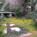 Profile picture of ‌مهدی مهدیاری‌
