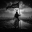 Profile picture of ‌MirzaHossein‌