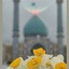 Profile picture of ‌لیلا کورش فرد‌