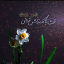 Profile picture of ‌سلما رحمانی‌