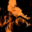 Profile picture of ‌of .‌