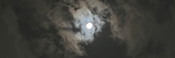 ‌طاها‌'s header picture