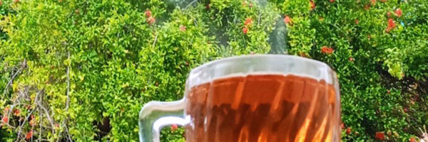 ‌رقیه فتحی‌'s header picture