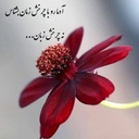 Profile picture of ‌علی محمدی‌