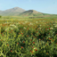 Profile picture of ‌احسان معتمدی‌