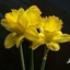 Profile picture of ‌علی رضا‌