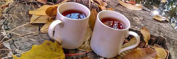 ‌مهناز مقصودی‌'s header picture