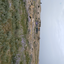 Profile picture of ‌یکنفره روایتی‌