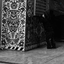 Profile picture of ‌ALIASGHAR‌
