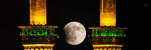 ‌سعید صابری‌'s header picture
